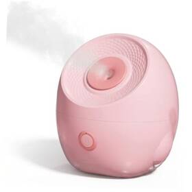 Yingkou Bayuquan Xinshunhe Department Store 765452702673 Facial Steamer Nano Ionic With Precise Temp Control Face
